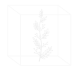 True Node LLC